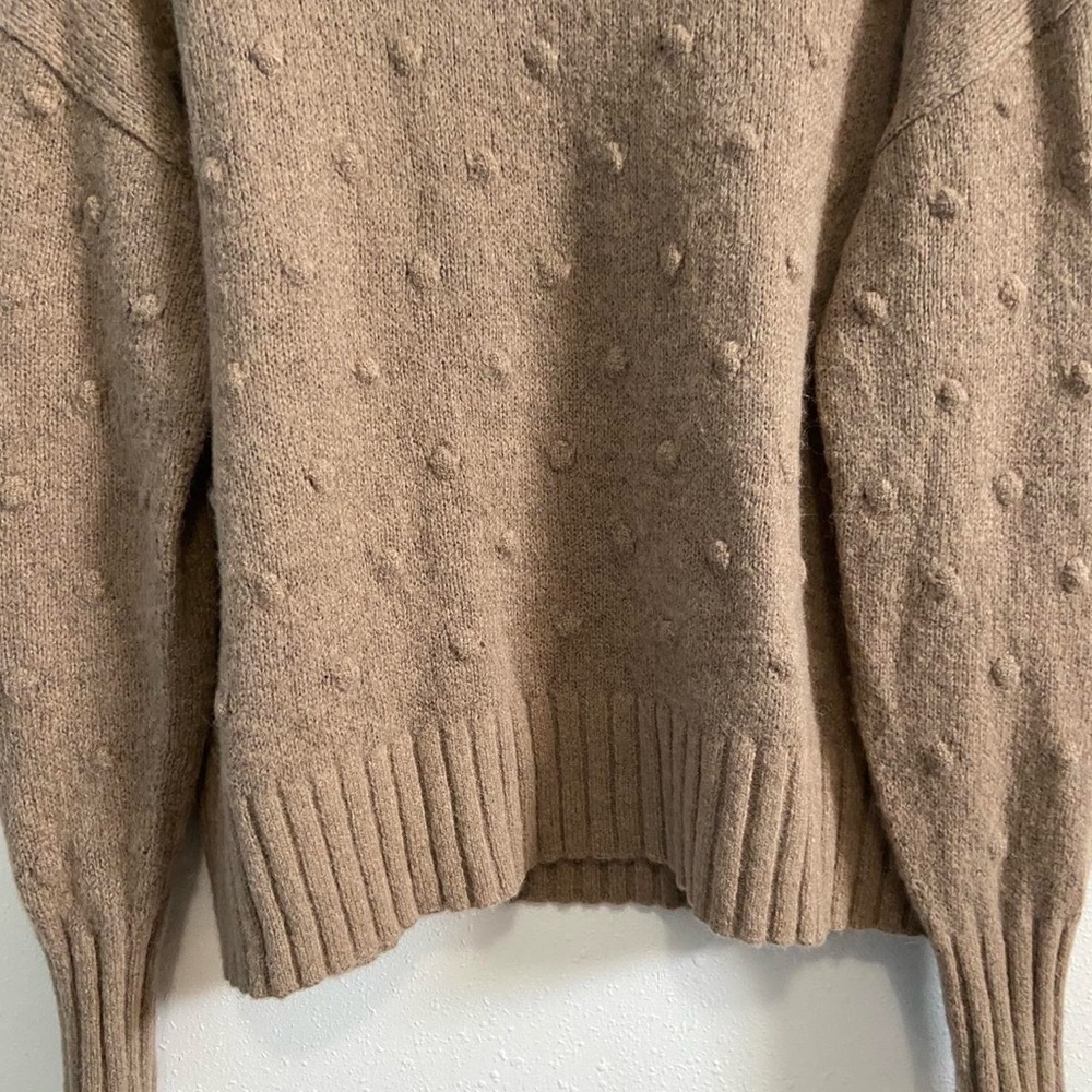 Everlane The Alpaca Pom-pom Turtleneck Sweater - Picture 4 of 8